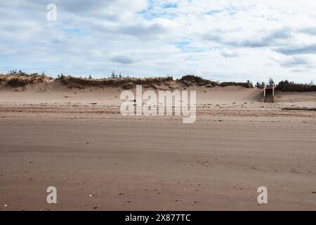 Sanddünen am Brackley Beach, Prince Edward Island, Kanada Stockfoto