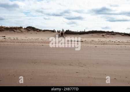 Sanddünen am Brackley Beach, Prince Edward Island, Kanada Stockfoto