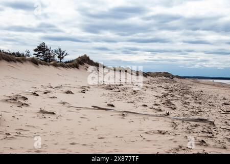 Sanddünen am Brackley Beach, Prince Edward Island, Kanada Stockfoto