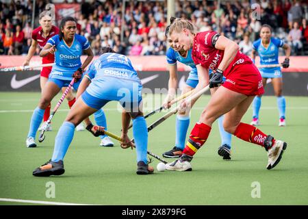 Antwerpen, Belgien. Mai 2024. Die belgische Alix Gerniers wurde während eines Eishockeyspiels zwischen der belgischen Nationalmannschaft Red Panthers und Indien in 6/16 der Gruppenphase der FIH Pro League 2024 am Donnerstag, den 23. Mai 2024, in Antwerpen gezeigt. BELGA FOTO JASPER JACOBS Credit: Belga News Agency/Alamy Live News Stockfoto