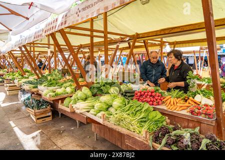 Stand mit Gemüse auf dem Markt von Zadar, Kroatien, Europa Stockfoto