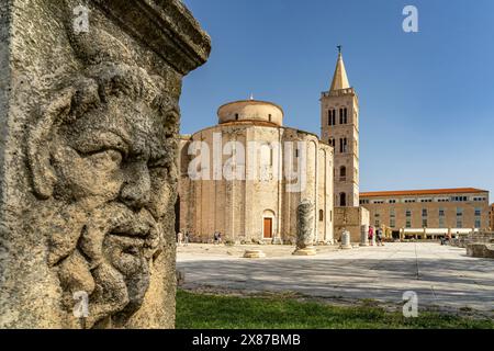 Die Kirche Sankt Donatus, Reste des römischen Forums und der Glockenturm der Kathedrale von Zadar, Kroatien, Europa Stockfoto