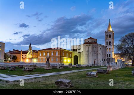 Die Kirche Sankt Donatus, Reste des römischen Forums und der Glockenturm der Kathedrale von Zadar in der Abenddämmerung, Kroatien, Europa Stockfoto