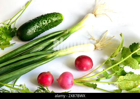 Mehrere Früchte von rotem Rettich mit grünen Spitzen, Zweige von Petersilie mit Dill, Zwiebeln und Gurken bilden das Stillleben auf dem Tisch. Stockfoto