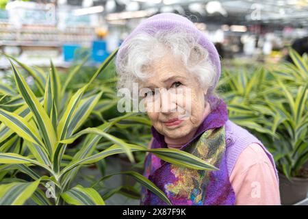 Lächelnde Seniorin neben der Dracaena-Fabrik im Laden Stockfoto