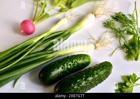 Früchte von rotem Rettich mit grünen Spitzen, Zweige von Petersilie mit Dill, Zwiebeln und Gurken bilden das Stillleben auf dem Tisch. Stockfoto