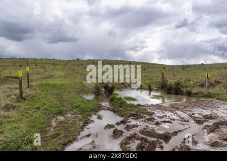 Salisbury Plain, Wiltshire Militärtrainingsgebiet, England, Großbritannien Stockfoto