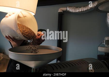 Kaffeeröster zum Ausgießen roher Kaffeebohnen in die Maschine Stockfoto