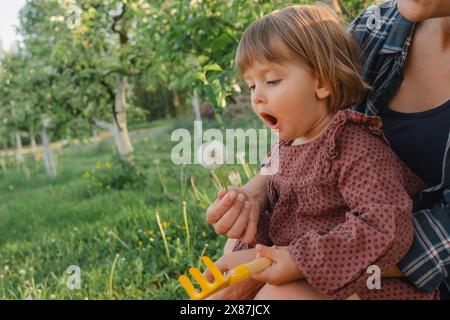 Ein Mädchen, das Löwenzahn im Garten von Mutter hält Stockfoto