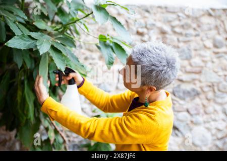 Frau, die Blätter der Avocadopflanze im Garten reinigt Stockfoto