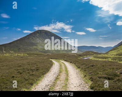 Großbritannien, Schottland, leere Feldstraße in den Cairngorm Mountains Stockfoto