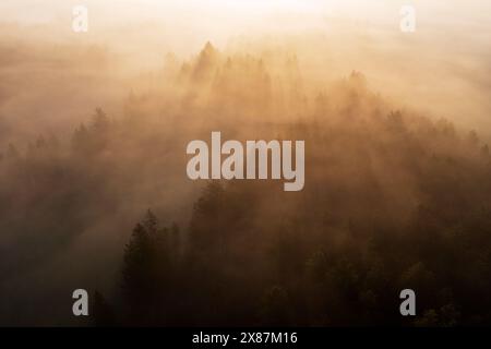 Deutschland, Bayern, Bad Bayersoien, Luftaufnahme des Nebelwaldes bei Sonnenaufgang Stockfoto