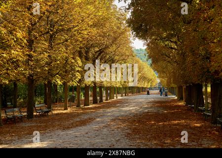 Wien, Österreich – 25. September 2023 Schönbrunner Schlosspark Wien. Ein Pfad unter Bäumen im Schlosspark Schönbrunn. Wien. Stockfoto