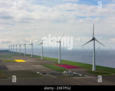 Windturbinen mit Tulpenfeldern in der Nähe des Meeres Stockfoto