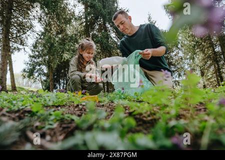 Lächelndes Mädchen, das Vater hilft, Plastikflaschen im Wald zu sammeln Stockfoto