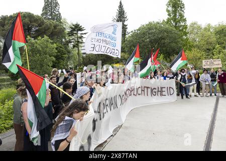 Gent, Belgien. Mai 2024. Eine Protestaktion der Gruppen GentStudents4Palestine und EndFossilGent im GUM Gents Universiteitsmuseum in Gent anlässlich eines Besuchs des Premierministers am Donnerstag, den 23. Mai 2024. BELGA FOTO DAVID PINTENS Credit: Belga News Agency/Alamy Live News Stockfoto