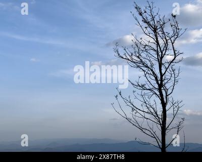 Wunderschöne Landschaft der Ebenen und der Stadt salem von einem Pagode Punkt in Yercaud, Tamil Nadu Stockfoto