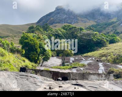 Der Eravikulam-Nationalpark liegt in den Kannan Devan Hills in der Nähe von Munnar. Es befindet sich im Devikulam Taluk des Distrikts Idukki in Kerala Stockfoto