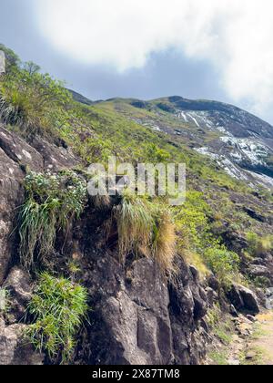 Der Eravikulam-Nationalpark liegt in den Kannan Devan Hills in der Nähe von Munnar. Es befindet sich im Devikulam Taluk des Distrikts Idukki in Kerala Stockfoto