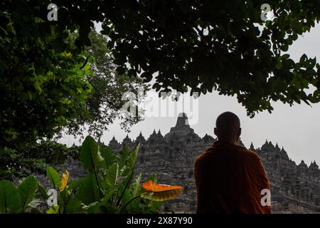 Magelang, Zentral-Java, Indonesien. Mai 2024. Ein buddhistischer Mönch nimmt an den Feierlichkeiten zum Vesak-Tag im Borobudur-Tempel Teil. Vesak wird während des Vollmondes im Mai oder Juni mit der Zeremonie beobachtet, die sich um drei buddhistische Tempel dreht. Pilger wandern von Mendut nach Pawon und enden in Borobudur. Der heilige Tag feiert die Geburt, die Erleuchtung des Nirvana und das Vergehen von Gautama Buddhas, dem Gründer des Buddhismus. (Kreditbild: © Angga Budhiyanto/ZUMA Press Wire) NUR REDAKTIONELLE VERWENDUNG! Nicht für kommerzielle ZWECKE! Stockfoto