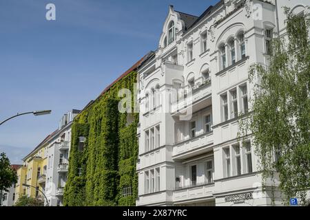 Altbauten, Regensburger Straße, Schöneberg, Berlin, Deutschland Stockfoto