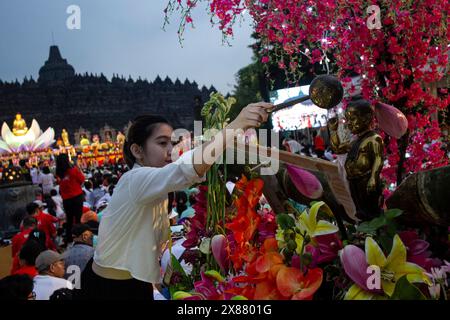 Magelang, Zentral-Java, Indonesien. Mai 2024. Buddhistische Gläubige nehmen an den Feierlichkeiten zum Vesak-Tag im Borobudur-Tempel Teil. Vesak wird während des Vollmondes im Mai oder Juni mit der Zeremonie beobachtet, die sich um drei buddhistische Tempel dreht. Pilger wandern von Mendut nach Pawon und enden in Borobudur. Der heilige Tag feiert die Geburt, die Erleuchtung des Nirvana und das Vergehen von Gautama Buddhas, dem Gründer des Buddhismus. (Kreditbild: © Angga Budhiyanto/ZUMA Press Wire) NUR REDAKTIONELLE VERWENDUNG! Nicht für kommerzielle ZWECKE! Stockfoto