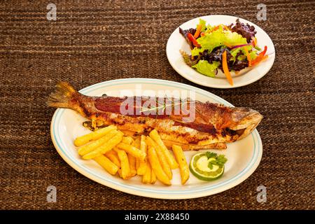 Regenbogenforelle vom Tota Boyaca See - gebackene Forelle mit Pommes Frites. Kolumbianische Gastronomie Stockfoto