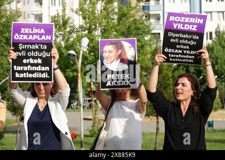 Serra Bucak (L) und Berfin Polat (R), Direktorin der Frauenvereinigung von Rosa, werden mit Plakaten gesehen, die an dem Femizidprotest teilnehmen. Die 30 Morde an Frauen, die in den letzten Monaten in der Türkei stattfanden, wurden in einer Aktion unter der Leitung des "Anti-Violence Network" und der "Dicle Amed Women's Platform Components" in Diyarbakir protestiert. Eine Gruppe von Frauen, darunter auch die Co-Bürgermeisterin Serra Bucak, versammelte sich im Roboski Park und verurteilte die Morde mit Plakaten mit Namen und Fotos von Frauen, die Opfer von Hono waren Stockfoto