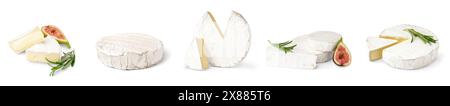 Collage von leckerem Camembert-Käse auf weißem Hintergrund Stockfoto