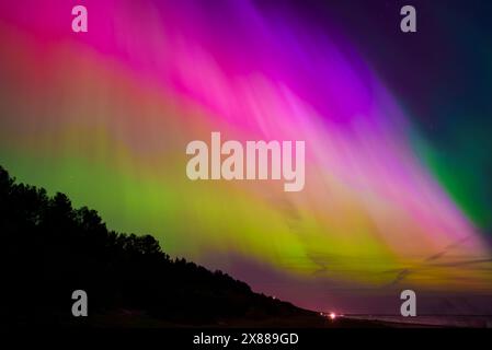 Der lebhafte Aurora Borealis über dem Küstenwald von Jurmala in der Nähe von Riga, Lettland Stockfoto