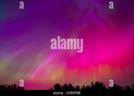 Der lebhafte Aurora Borealis über Riga und Jurmala im lettischen Nachthimmel Stockfoto