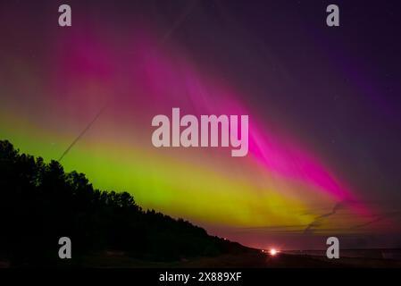 Aurora Borealis über der Küste Lettlands in der Nähe von Riga und Jurmala mit Forest Silhouette Stockfoto