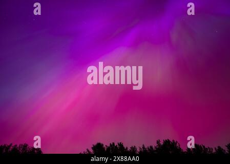 Der lebhafte Aurora Borealis über den Wäldern von Riga und Jurmala in Lettland Stockfoto