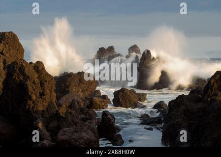 Laupahoehoe Beach Park, Hawaii Island. Stockfoto