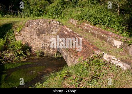 Radford Aqueduct aus dem 17. Jahrhundert, historisches Bewässerungssystem und geplantes altes Denkmal auf der alten London bis Portsmouth Rd, Liphook, Hampshire, England Stockfoto