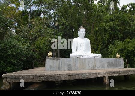 Beruwala, Sri Lanka. Am 7. februar 2023 sitzt die weiße Buddha-Figur über dem See. Hintergrund wunderschöne Naturpalmen, blauer Himmel. Asien Reisen und Religion Co Stockfoto