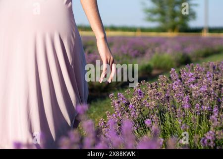 Die Hand einer Frau, die auf einem blühenden Lavendelfeld im lavendelfarbenen Kleid läuft Stockfoto