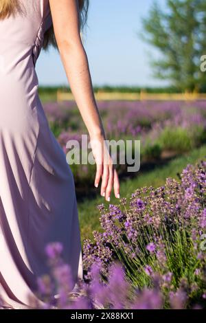 Die Hand einer Frau, die auf einem blühenden Lavendelfeld im lavendelfarbenen Kleid läuft Stockfoto