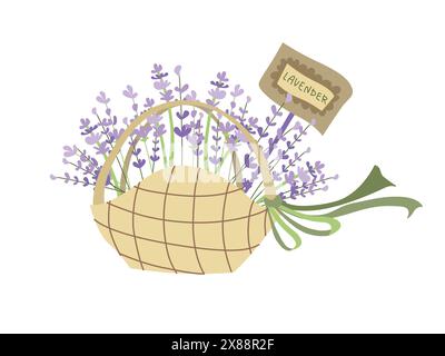 Abbildung: Korb mit hochdetailliertem Lavendel. Violette Blumen auf weißem Hintergrund, flache Art. Stock Vektor