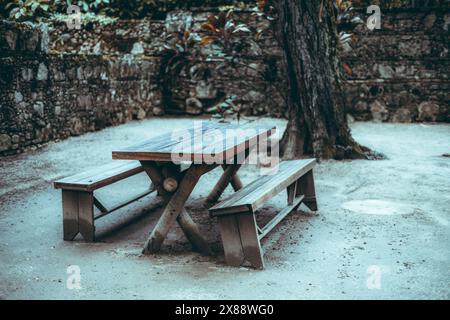 Ein einladender Picknicktisch aus Holz, eingebettet unter einem Schatten eines Baumes in einem ruhigen botanischen Garten, bietet einen ruhigen Rückzugsort in der Natur Stockfoto