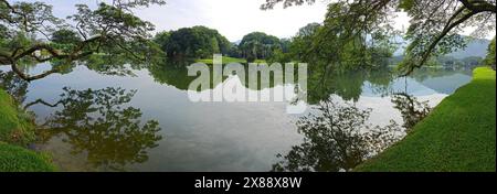 Wunderschönes Spiegelbild der Äste des Regenwaldes, die am See hängen. Stockfoto