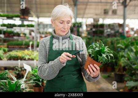 Leitende Angestellte im Werksgeschäft, die ihr Smartphone für die Lagerbuchhaltung verwendet Stockfoto