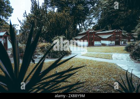 Ein stimmungsvoller Blick auf einen ruhigen botanischen Garten mit gewundenen Wegen, üppigem Grün und traditionellen Gewächshäusern. Ruhige Szene eingebettet Stockfoto