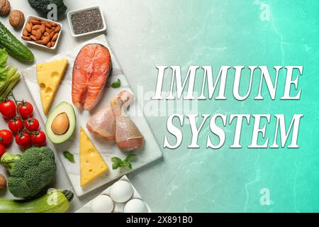 Immunsystem Boosting mit richtiger Ernährung. Verschiedene Speisen auf Farbtisch, flache Lagen Stockfoto