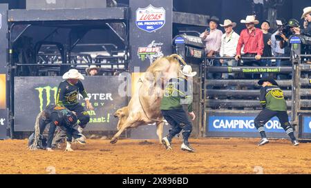 PBR World Finals 2024 in Dallas, Texas - Stierkämpfer hält acht Sekunden an Stockfoto