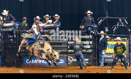 PBR World Finals 2024 in Dallas, Texas - Stierkämpfer hält acht Sekunden an Stockfoto