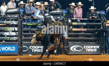 PBR World Finals 2024 in Dallas, Texas - Stierkämpfer hält acht Sekunden an Stockfoto