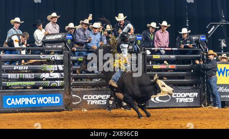 PBR World Finals 2024 in Dallas, Texas - Stierkämpfer hält acht Sekunden an Stockfoto