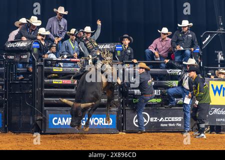 PBR World Finals 2024 in Dallas, Texas - Stierkämpfer hält acht Sekunden an Stockfoto