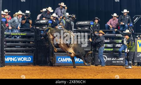 PBR World Finals 2024 in Dallas, Texas - Stierkämpfer hält acht Sekunden an Stockfoto